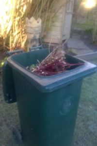 green bin